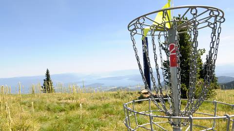 photo of disc golf basket at Schweitzer