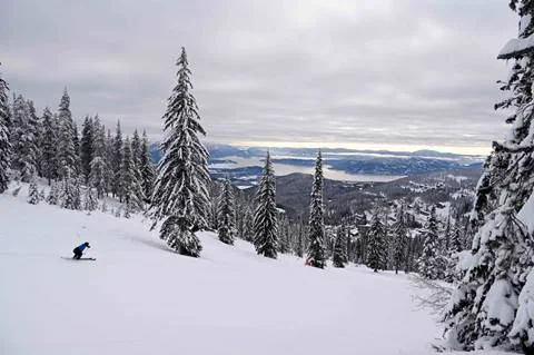skier going down slopes