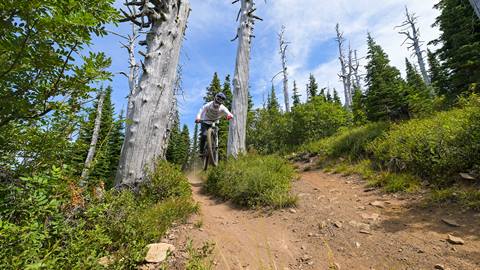 Rider navigates a dirt trail through alpine forest on a summer mountain biking adventure at Schweitzer