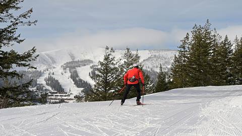 nordic skier on schweitzer cross country trails at Schweitzer